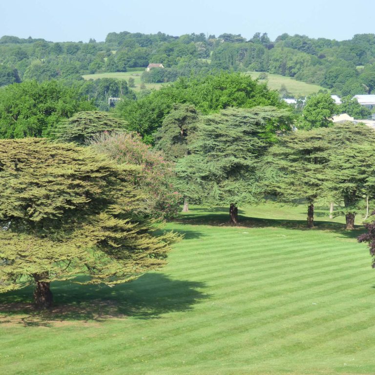 outside of the school grounds